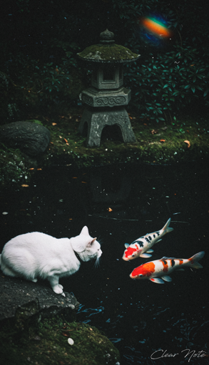 A garden scene of a white cat with a black collar sitting on a moss-covered rock looking intently at two koi fish swimming in a small, dark pond. The koi fish display vibrant colors, including orange, white, and black patterns. In the background, a stone lantern with a detailed, weathered texture stands on the other edge of the pond, in front of lush greenery. 