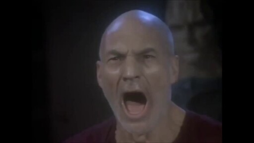 Captain Jean Luc Picard shouting at the Cardassian interrogation that there are in fact four lights